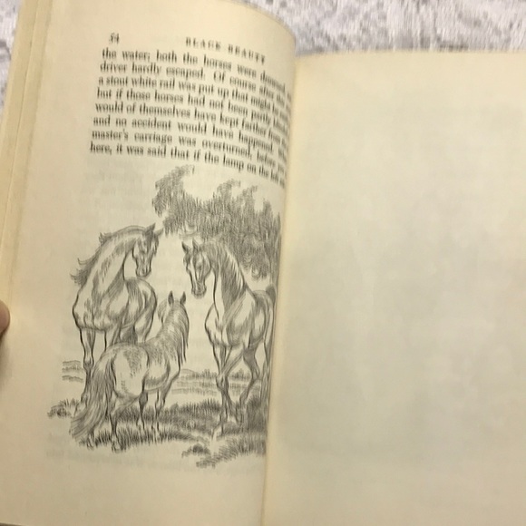 Black Beauty 1945 Hardback - Picture 5 of 12